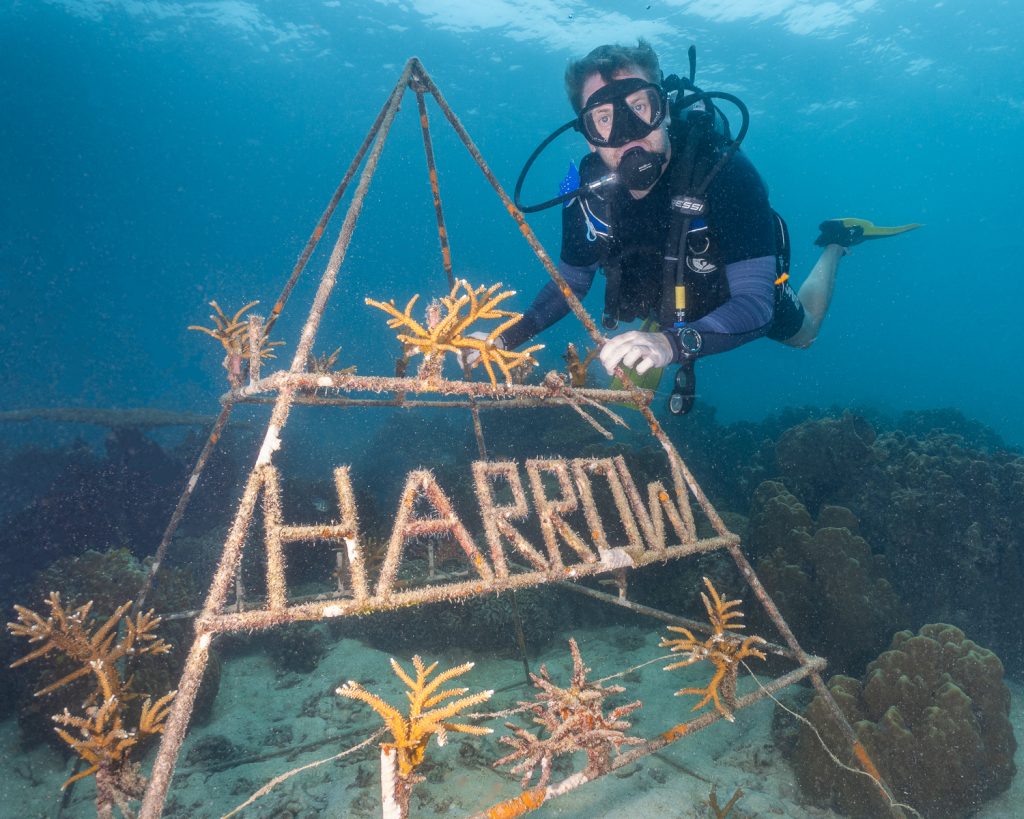 AM-article-AA-magazine-Building Bridges for Marine Conservation: A Harrow Bangkok & Global Reef Partnership - featured image