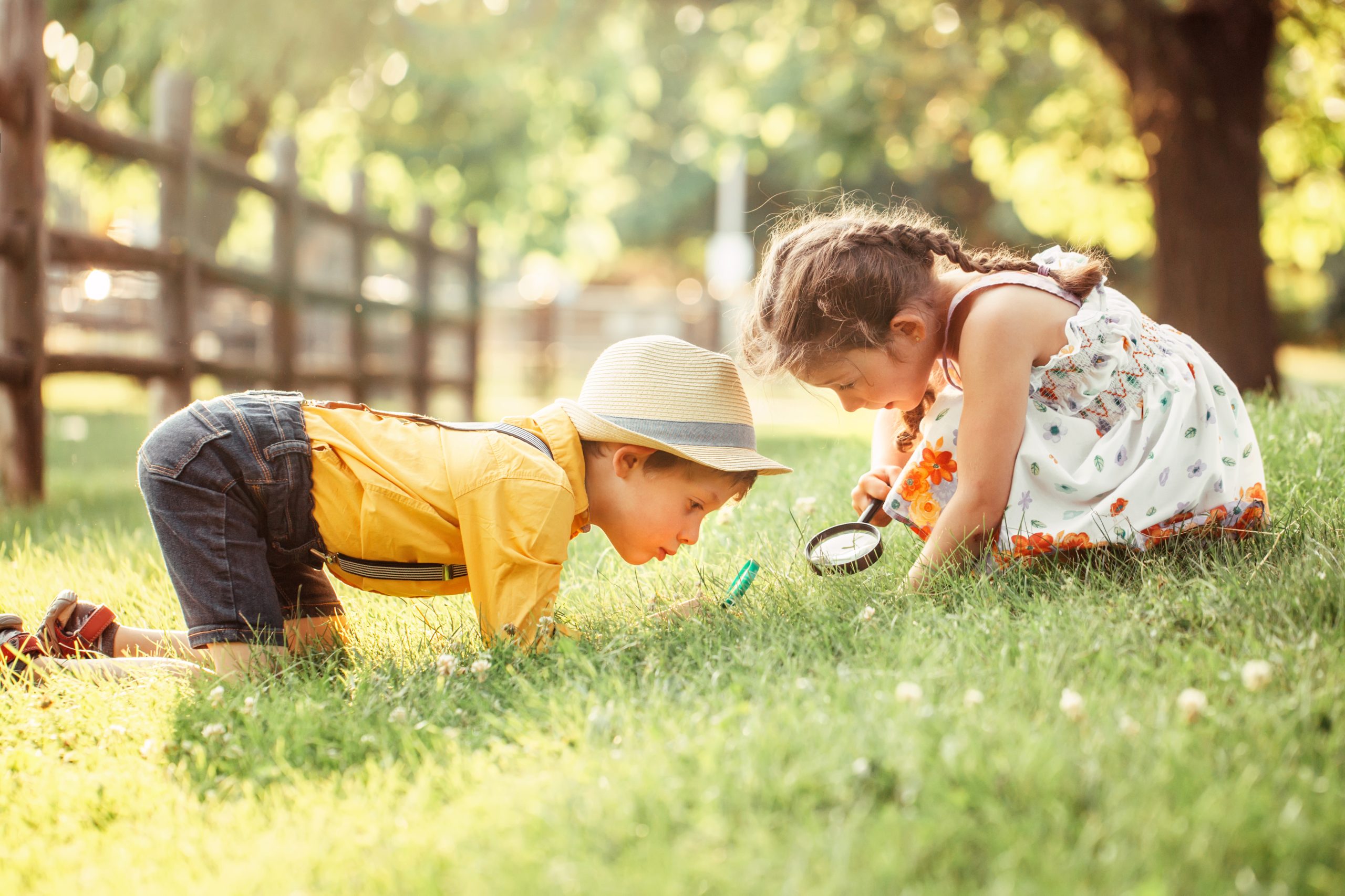 AM-article-Curiosity: The Hidden Engine Behind Every Child’s Learning - body image