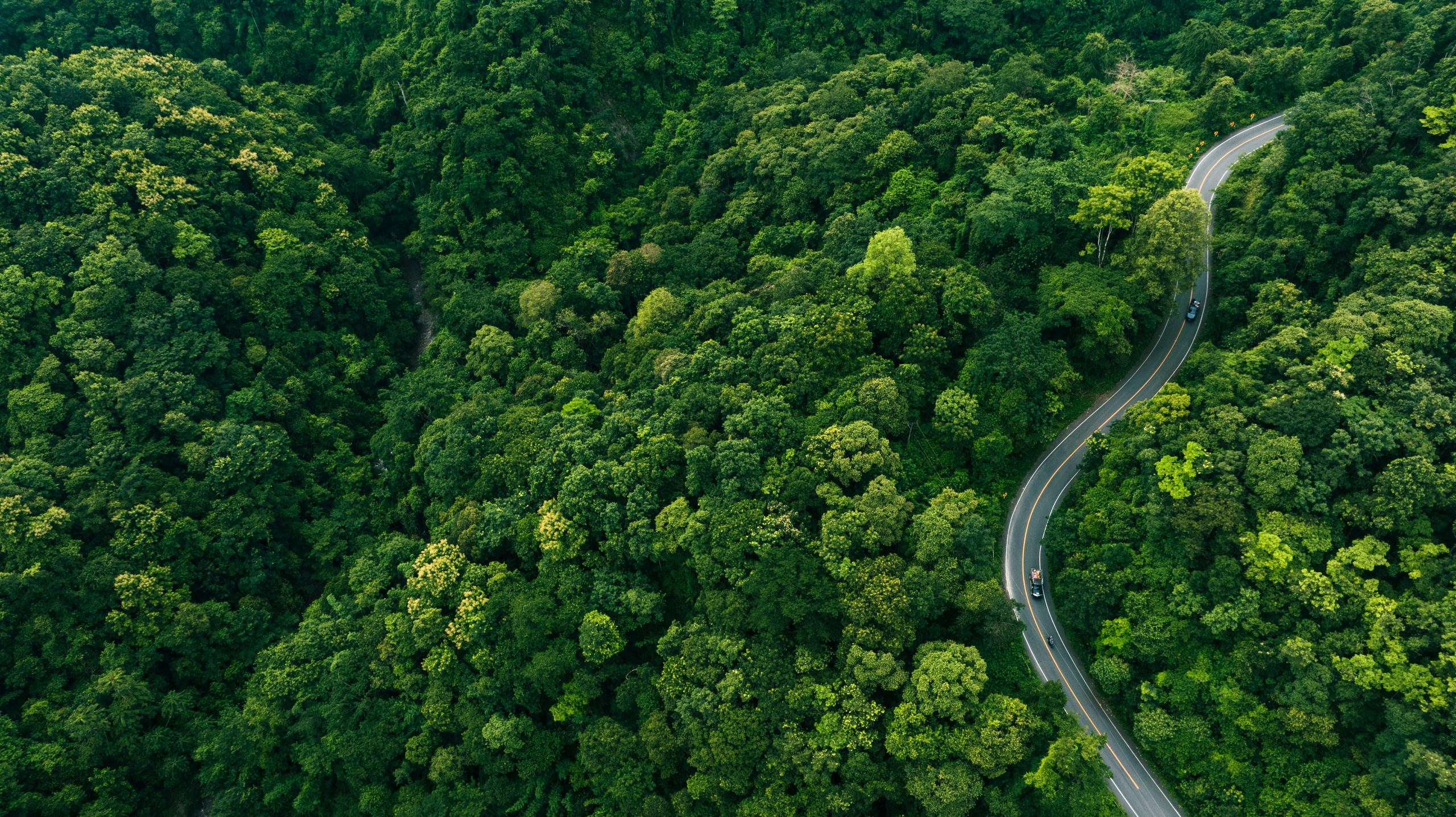 AM-article-Books or Bytes: Which Is Greener for Our Planet? - body image 1