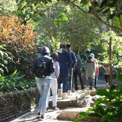 KFBG – Transformative and Mindfulness_3