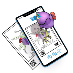 QuiverVision: Quiver Augmented Reality Coloring