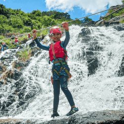 dragon fly - Outdoor Adventure Programs