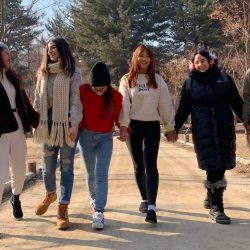 next-step-connections-South-Korea-3-e1703938795764